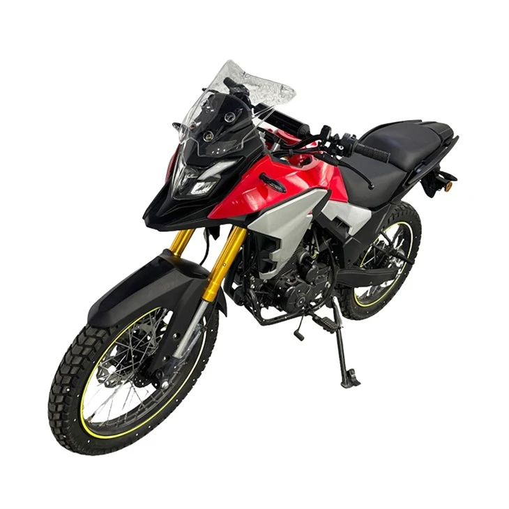 R-LD10 Big Wheel Off Road Motorcycle high quality